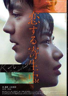 日本纪录电影京都四季海报